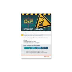 Line of Fire Striking Hazard Poster